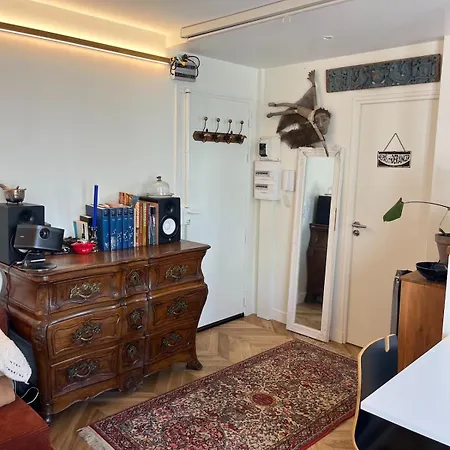 Cozy And Lively Apartment With Balcony Apartment Paris